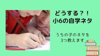 小学3年生の自学ネタ何にする うちの子がやった自学を大公開 のんびりはっぴー